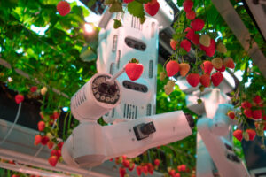 Featured article image for - EMV Capital Invests in Dogtooth Technologies’ £14 Million Funding Round